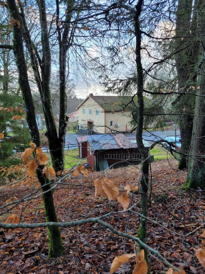 Bokskogens Guesthouse Kulltorp  Exteriér fotografie